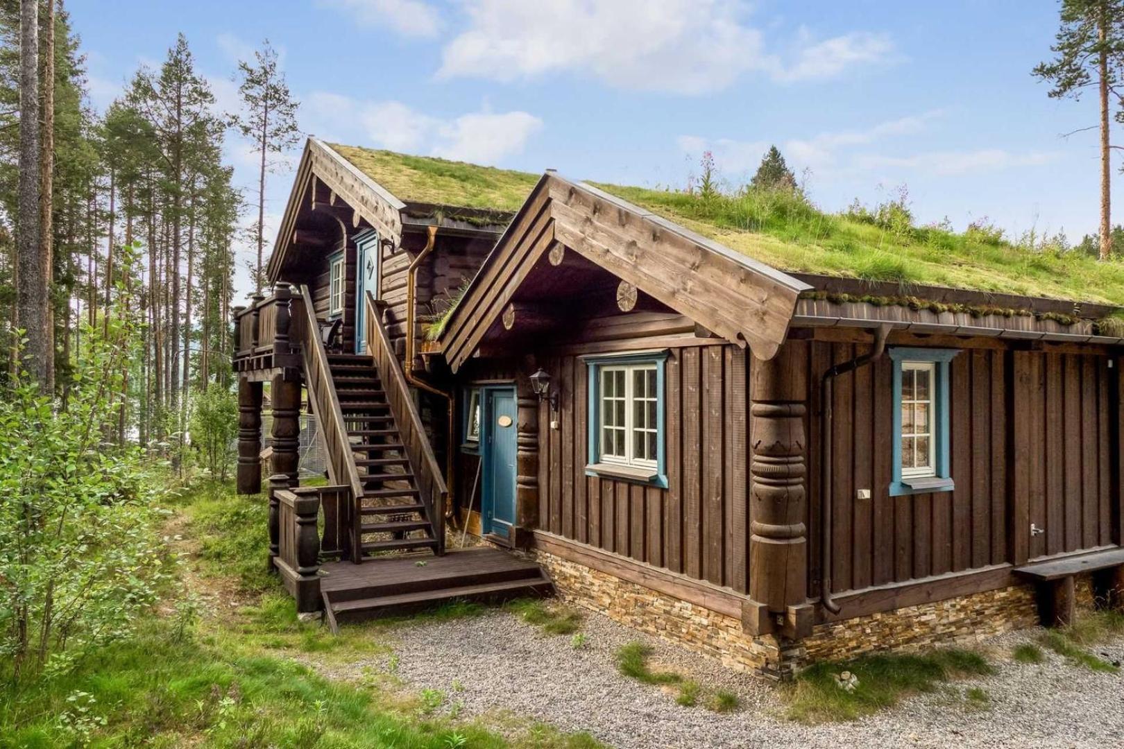 Wi-Fi | Grill | Pets Allowed | Drying Cabinet Lofsdalen Exterior foto