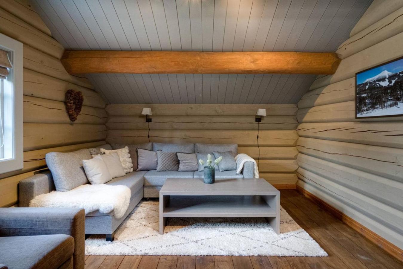 Wi-Fi | Grill | Pets Allowed | Drying Cabinet Lofsdalen Exterior foto